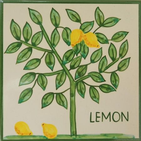 Casa Monte Cristo Apartments - Lemon Lagos Kültér fotó
