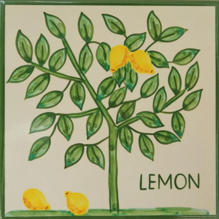 Casa Monte Cristo Apartments - Lemon Lagos Kültér fotó